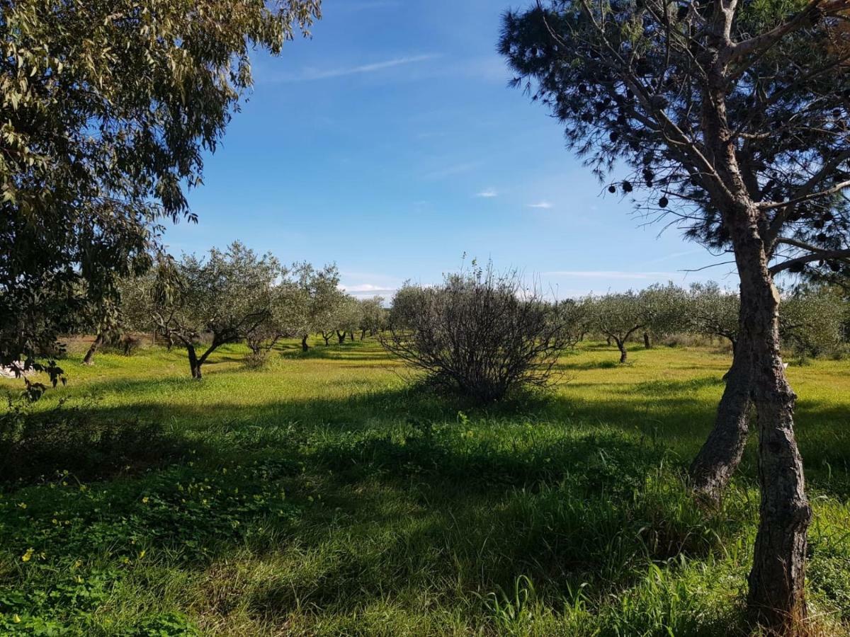Mimosa Bilocale קאלה ליברוטו מראה חיצוני תמונה