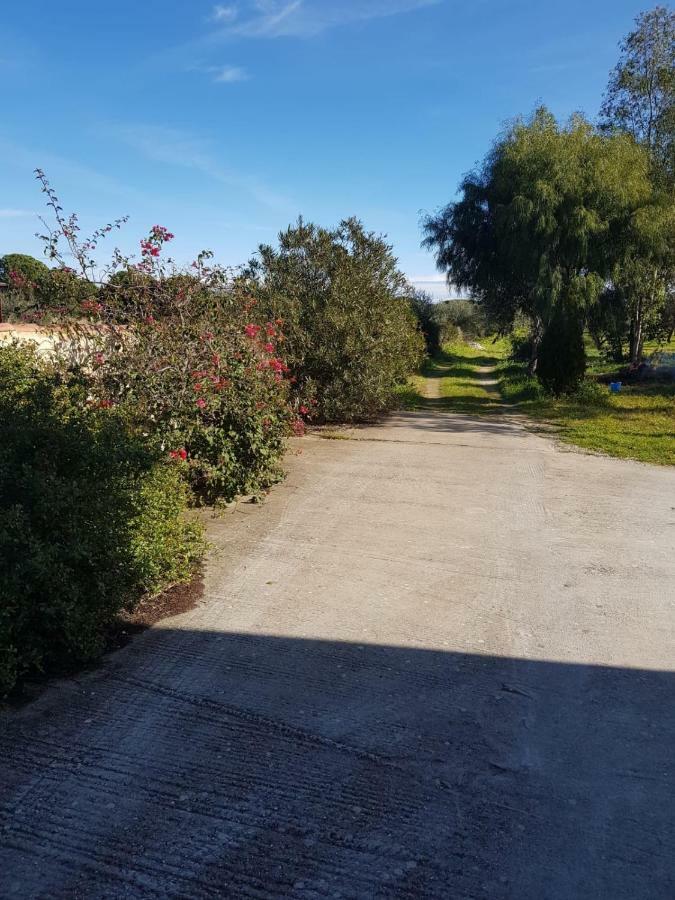 Mimosa Bilocale קאלה ליברוטו מראה חיצוני תמונה