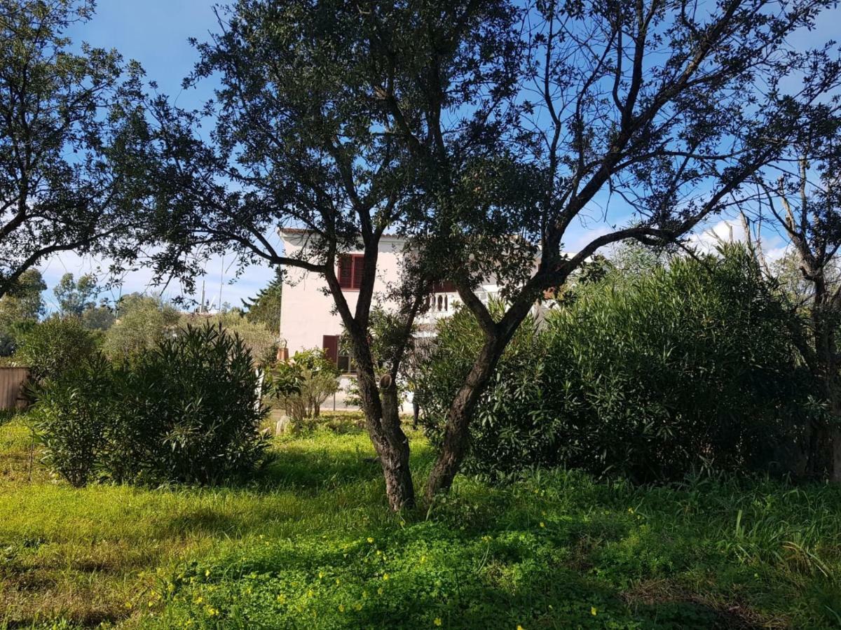 Mimosa Bilocale קאלה ליברוטו מראה חיצוני תמונה