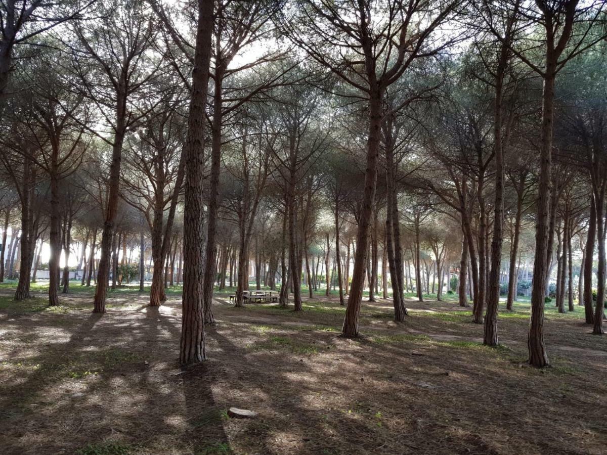Mimosa Bilocale קאלה ליברוטו מראה חיצוני תמונה